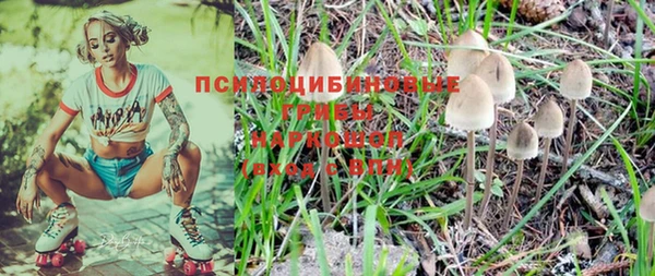 Альфа ПВП Алексин