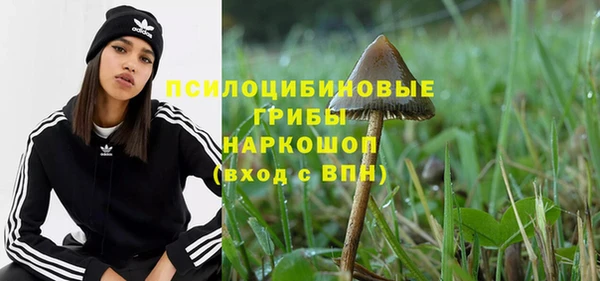 Альфа ПВП Алексин